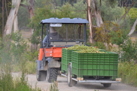 Yarra Valley Private Car Winery Tour And Chocolate.1-7 Passengers One Car Price - Accommodation Sunshine Coast 1