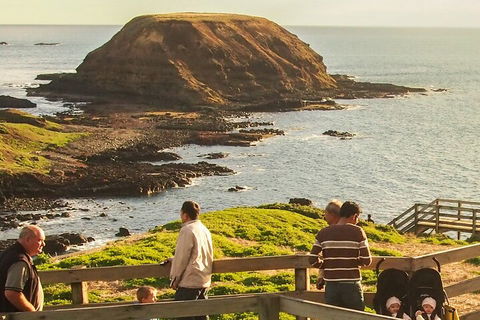 Healesville Sanctuary And Phillip Island Wildlife Bus Tour - Accommodation Sunshine Coast 3