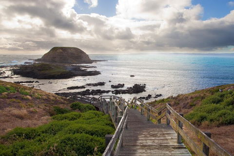 Healesville Sanctuary And Phillip Island Wildlife Bus Tour - Accommodation Sunshine Coast 5