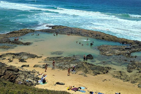 Pippies 3 Days 2 Nights Fraser Island Tour - Accommodation Sunshine Coast 5