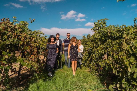 Barossa Valley Private Tour (from 2 To 11 People) - Accommodation Sunshine Coast 0