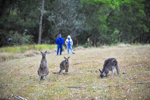 Blue Mountains Private Tour From Sydney - Accommodation Sunshine Coast 2