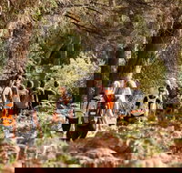 Half-Day Yanchep Ghost House Wilderness Guided Hike Tour - Accommodation Sunshine Coast