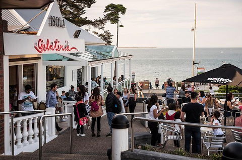 Phillip Island And French Island Wildlife Expedition - Accommodation Sunshine Coast 0