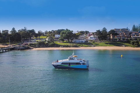 Phillip Island And French Island Wildlife Expedition - Accommodation Sunshine Coast 2