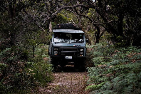 Phillip Island And French Island Wildlife Expedition - Accommodation Sunshine Coast 4