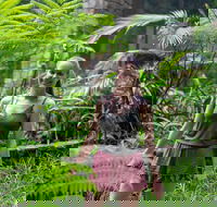 Full-Day Guided Hinterland Adventure Tour in Queensland - Accommodation Sunshine Coast