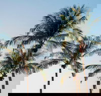 Darwin City Sightseeing Tour - Accommodation Sunshine Coast