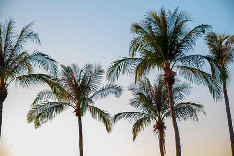 Darwin City Sightseeing Tour - Accommodation Sunshine Coast 0