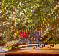 Darwin City Sights and Jumping Crocodile Cruise - Accommodation Sunshine Coast