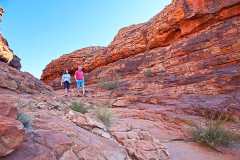 Kings Canyon Day Trip From Ayers Rock (Uluru) - Accommodation Sunshine Coast 2