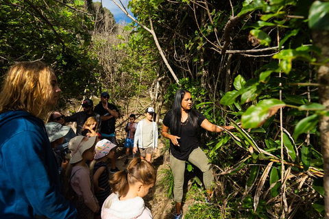Cape Byron Aboriginal Tour - Accommodation Sunshine Coast 4