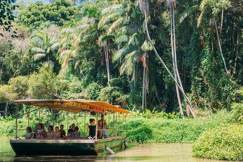Tropical Fruit World Farm Full Tour - Accommodation Sunshine Coast 0