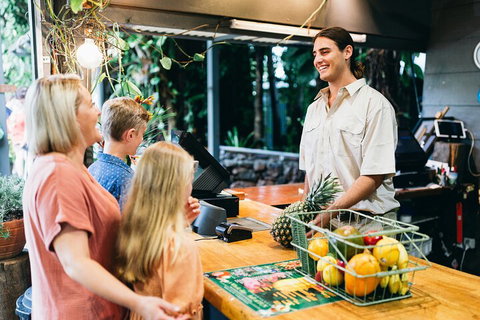 Tropical Fruit World Farm Full Tour - Accommodation Sunshine Coast 2