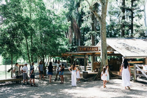 Tropical Fruit World Farm Full Tour - Accommodation Sunshine Coast 3
