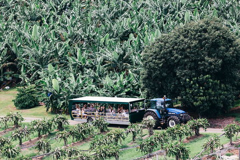 Tropical Fruit World Farm Full Tour - Accommodation Sunshine Coast 5