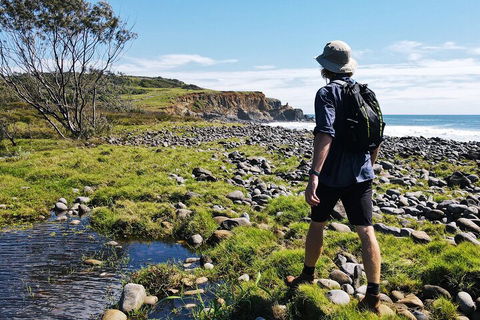 Half Day Guided Small Group Walk - Accommodation Sunshine Coast 0