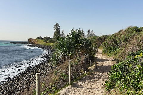 Half Day Guided Small Group Walk - Accommodation Sunshine Coast 2