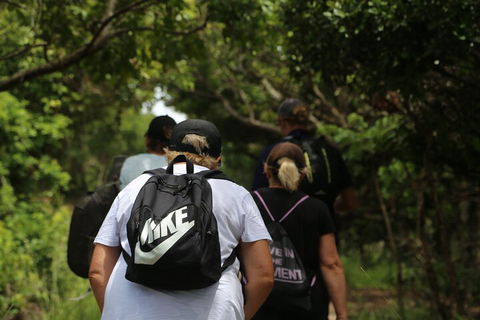 Half Day Guided Small Group Walk - Accommodation Sunshine Coast 4