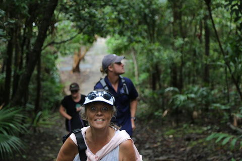Half Day Guided Small Group Walk - Accommodation Sunshine Coast 5