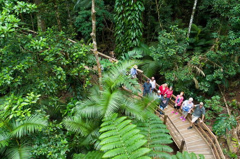 2 Day Daintree Rainforest, Cape Tribulation And Outback Chillagoe Tour - Accommodation Sunshine Coast 3