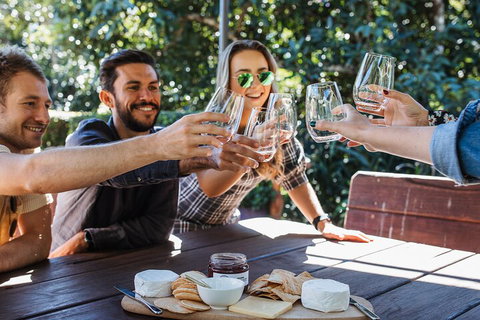 Full-day Wine-Tasting And Tamborine Mountain Tour With Lunch - Accommodation Sunshine Coast 0