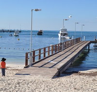 Monkey Mia Dolphins  Shark Bay Air Tour From Perth - Accommodation Sunshine Coast