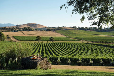 Yarra Valley 2-6 Guests Premium Food And Wine Inc Lunch At Dominique Portet - Accommodation Sunshine Coast 2