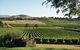 Yarra Valley Premium Tour Inc Lunch And Cheese, Chocolate Fondue At Rochford - thumb 1