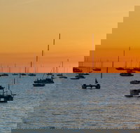 Darwin Shore Excursion Hop-on Hop-off Bus Tour - Accommodation Sunshine Coast