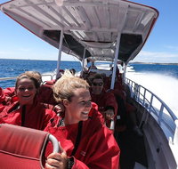 Adventure Rottnest Tour with Ferry  Adventure Cruise from Perth or Fremantle - Accommodation Sunshine Coast