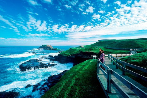 Melbourne Combo: Great Ocean Road + Phillip Island Express + Attraction Pass - Accommodation Sunshine Coast 1