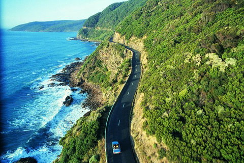 Melbourne Combo: Great Ocean Road + Phillip Island Express + Attraction Pass - Accommodation Sunshine Coast 4