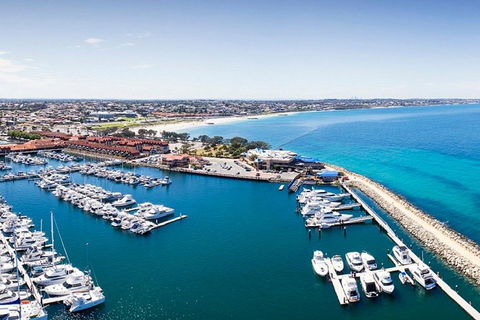 Snorkel With Sharks At AQWA - Accommodation Sunshine Coast 3