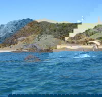 Kayaking with Dolphins in Byron Bay Guided Tour - Accommodation Sunshine Coast