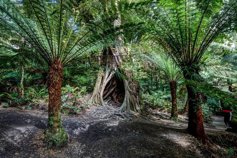 Adelaide To Melbourne 3-Day Trip Through Grampians And Great Ocean Road - Accommodation Sunshine Coast 0