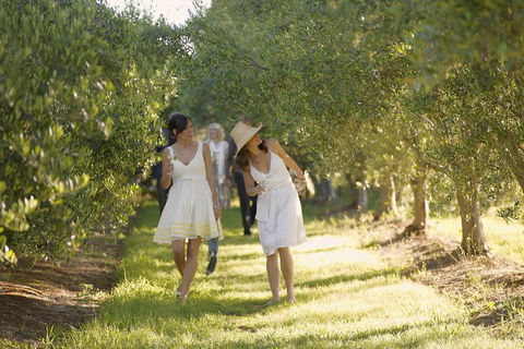 Yarra Valley Wine Tour With Local Harvest Tastings From Melbourne - Accommodation Sunshine Coast 0