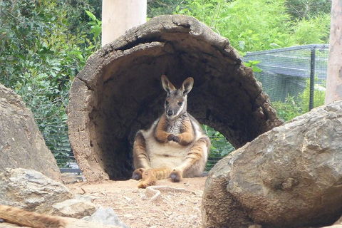 Featherdale Wildlife Park General Admission - Accommodation Sunshine Coast 2