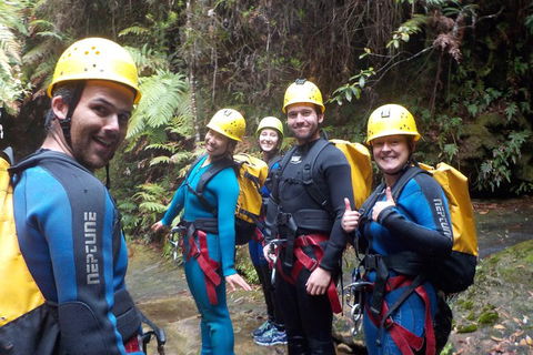 Full-Day Canyoning Experience At Stunning Empress Canyon - Accommodation Sunshine Coast 1