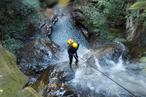 Full-Day Canyoning Experience At Stunning Empress Canyon - Accommodation Sunshine Coast 4