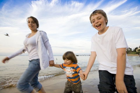 Phillip Island Penguin And Koala Highlights Day-Trip From Melbourne - Accommodation Sunshine Coast 0