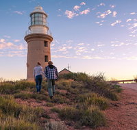 6-Day Coral Coaster from Perth to Exmouth One-Way via Monkey Mia Ningaloo Reef - Accommodation Sunshine Coast