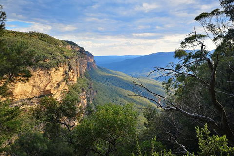 Sunset Blue Mountains Wilderness & Wildlife Tour Without The Crowds - Accommodation Sunshine Coast 2