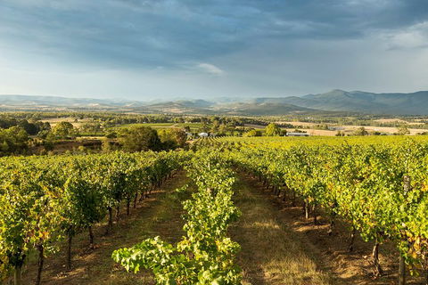 Yarra Valley Local Produce And Wine Tasting Tour - Accommodation Sunshine Coast 3