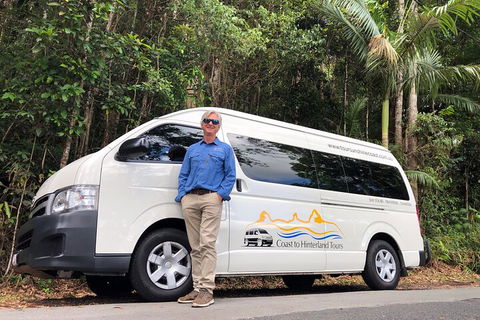 Sunshine Coast Hinterland Rainforest, Views And Montville Day Tour Inc. Lunch - Accommodation Sunshine Coast 1