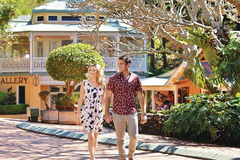 Sunshine Coast Hinterland Rainforest, Views And Montville Day Tour Inc. Lunch - Accommodation Sunshine Coast 4