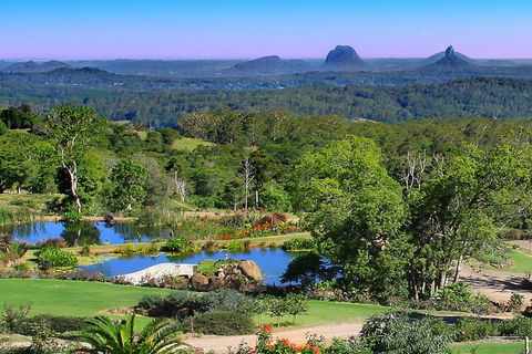 Sunshine Coast Hinterland Rainforest, Views And Montville Day Tour Inc. Lunch - Accommodation Sunshine Coast 5