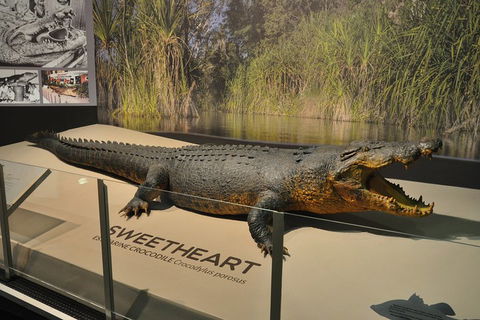 Explore Darwin City Sights Including Key Attractions - Accommodation Sunshine Coast 2