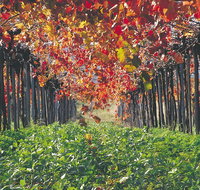 Margaret River Private Tour - Accommodation Sunshine Coast