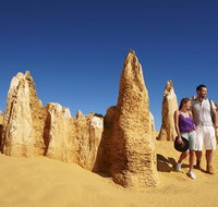 Pinnacles Day Trip from Perth Including Yanchep National Park - Accommodation Sunshine Coast